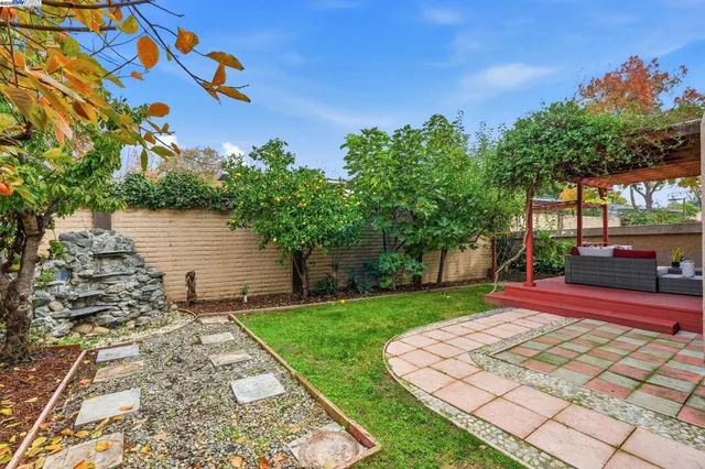 a view of a yard with plants and large trees