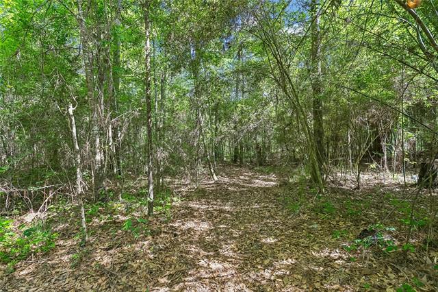 67497 Armel Road Mandeville, LA 70471 - Photo 17 of 19