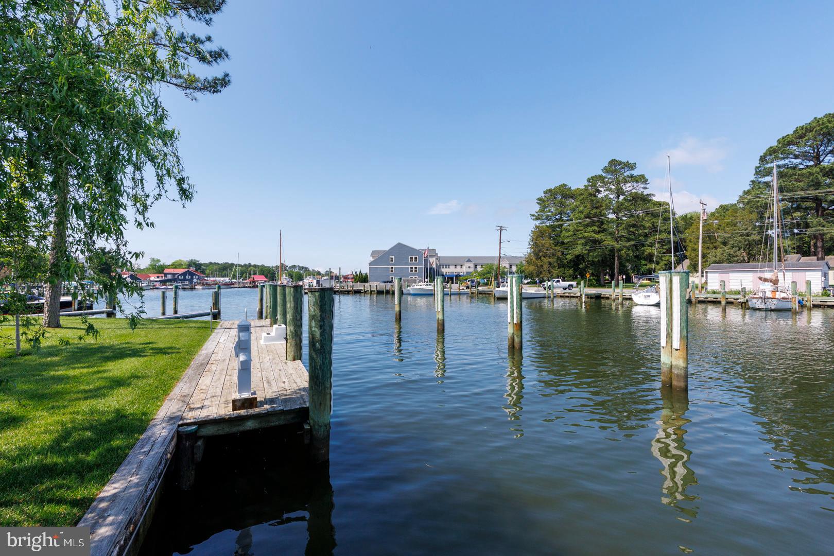 222 East Chestnut Street St. Michaels, MD 21663 - Photo 31 of 38 a view of a lake with boats and trees in the background