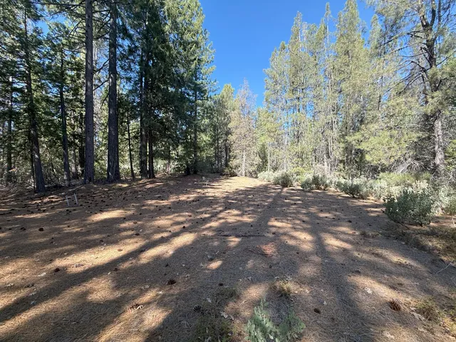$549,000 | 10543 Chuckleberry Drive, Nevada City, CA 95959