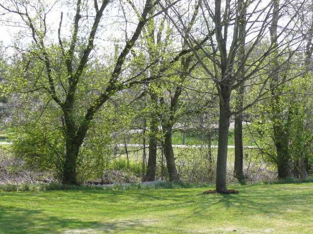 1877 Leonardsburg Road Delaware, OH 43015 - Photo 5 of 18