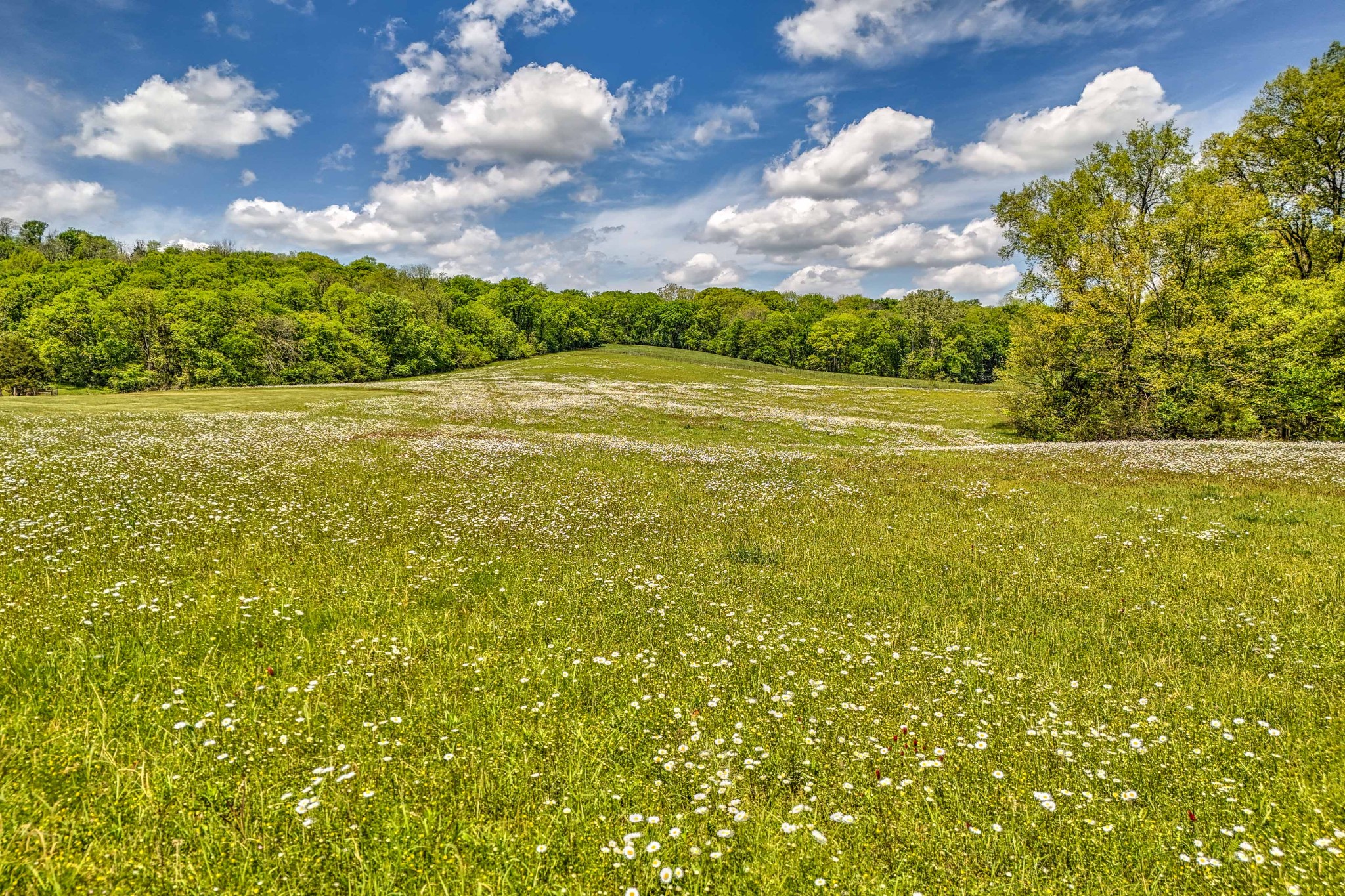 3274 Clear Creek Road Pulaski, TN 38478 - Photo 14 of 68 Gallery Image 14