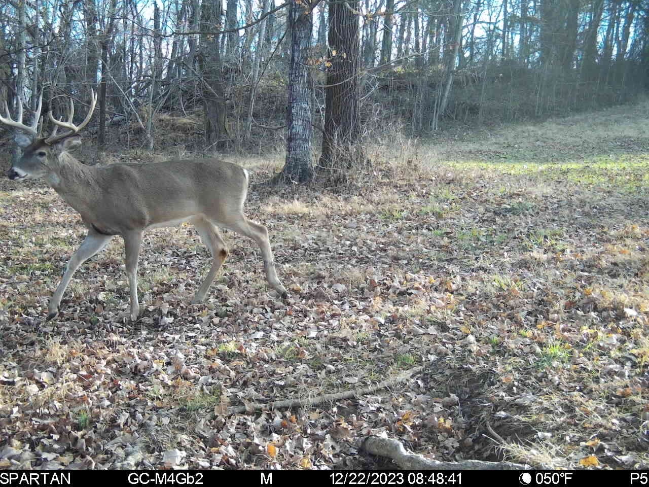3274 Clear Creek Road Pulaski, TN 38478 - Photo 63 of 68 Gallery Image 63