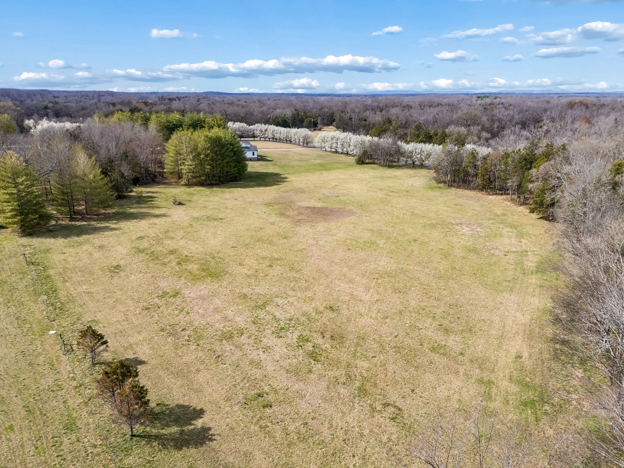7 Paschal Road Unionville, TN 37180 - Photo 11 of 25 Gallery Image 11