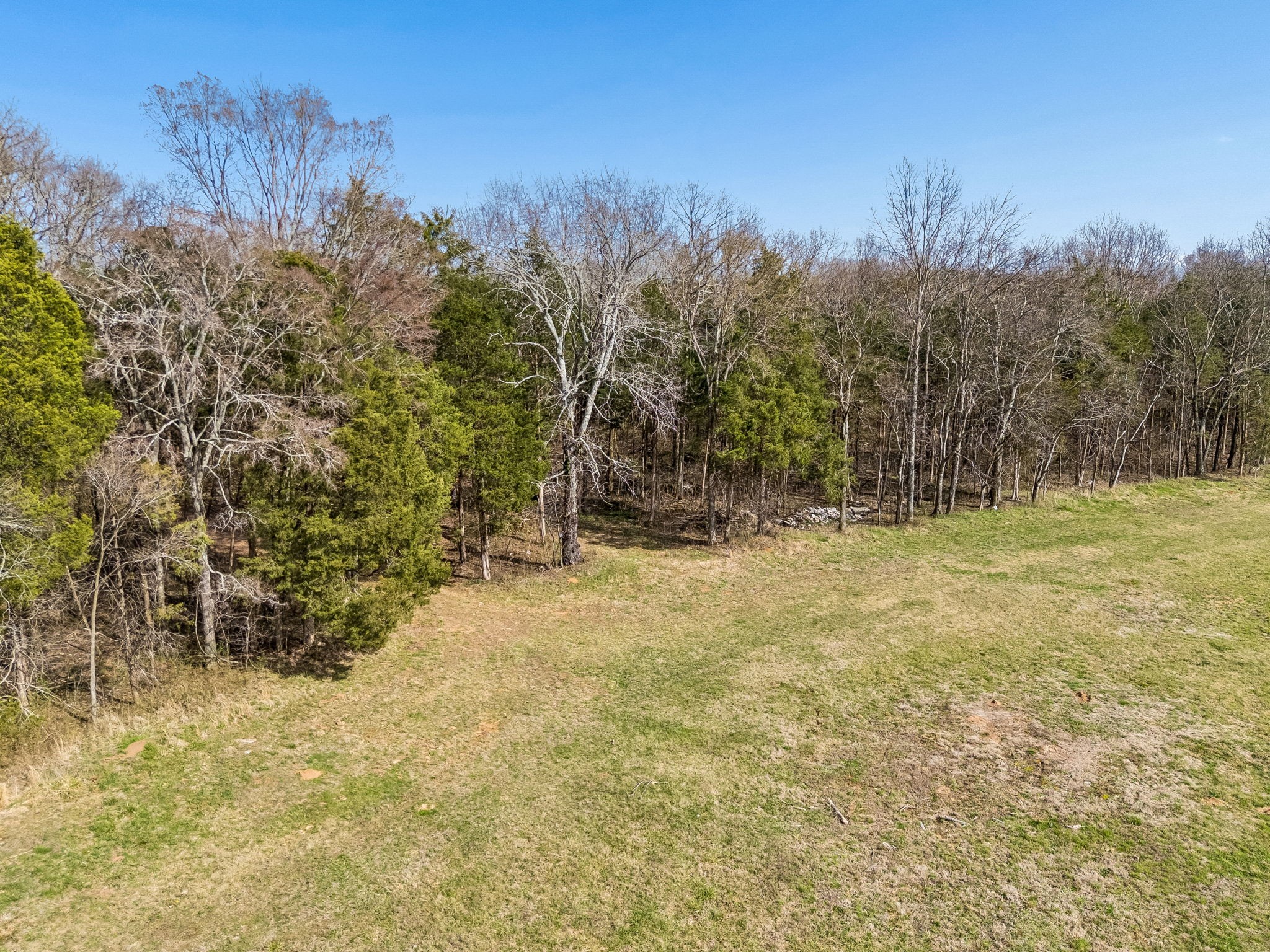 7 Paschal Road Unionville, TN 37180 - Photo 16 of 25 Gallery Image 16