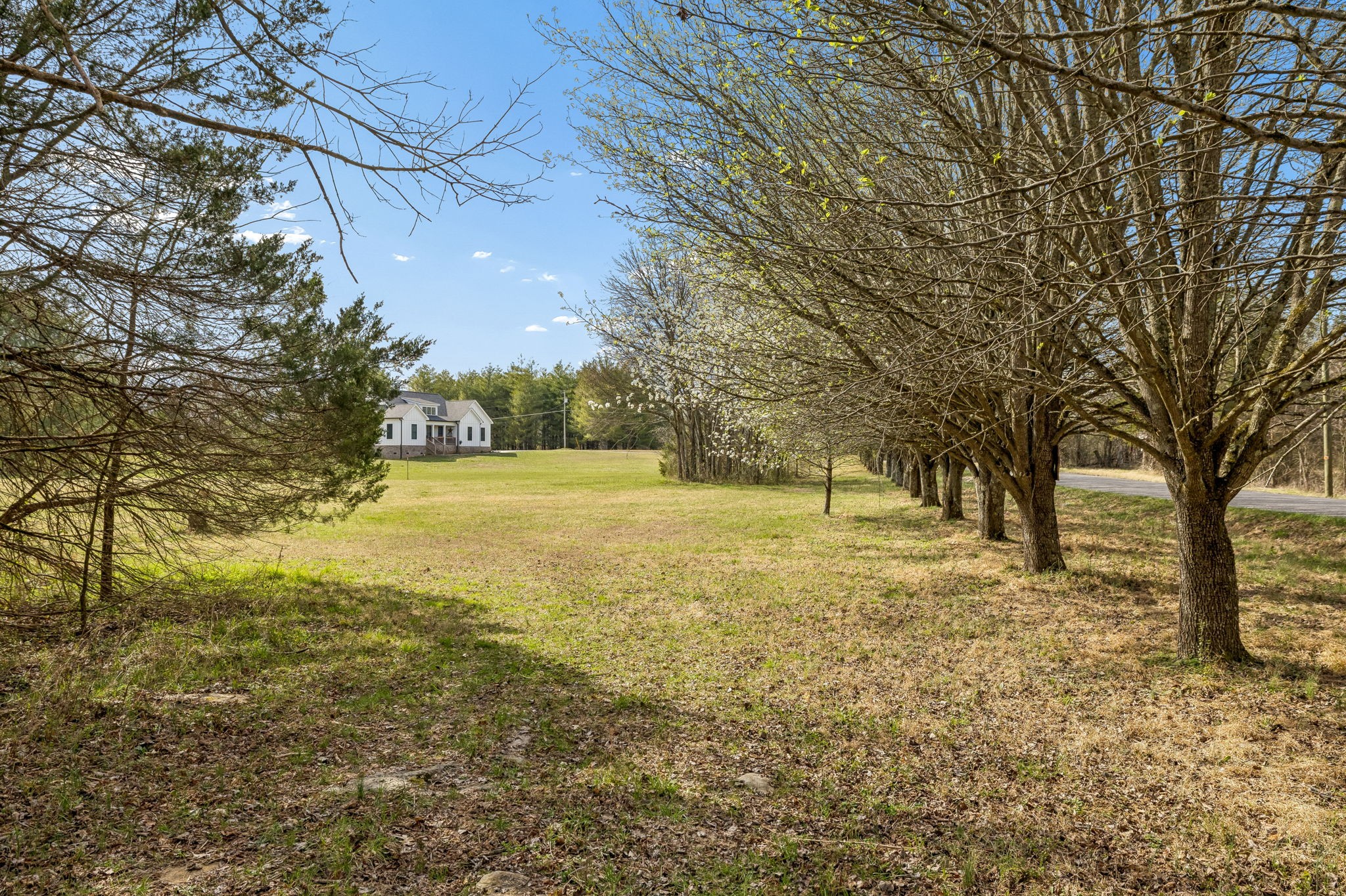 7 Paschal Road Unionville, TN 37180 - Photo 8 of 25 Gallery Image 8