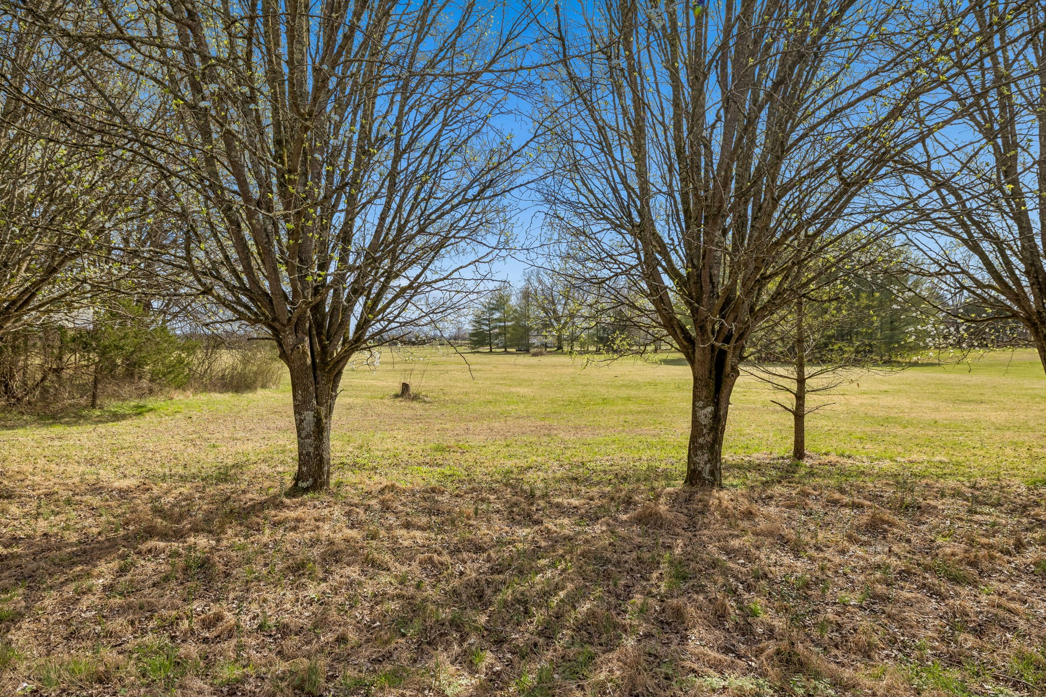 7 Paschal Road Unionville, TN 37180 - Photo 9 of 25 Gallery Image 9