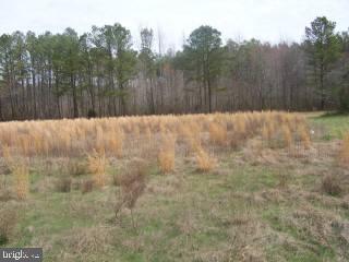 3875 South Upper Ferry Road Eden, MD 21822 - Photo 8 of 10