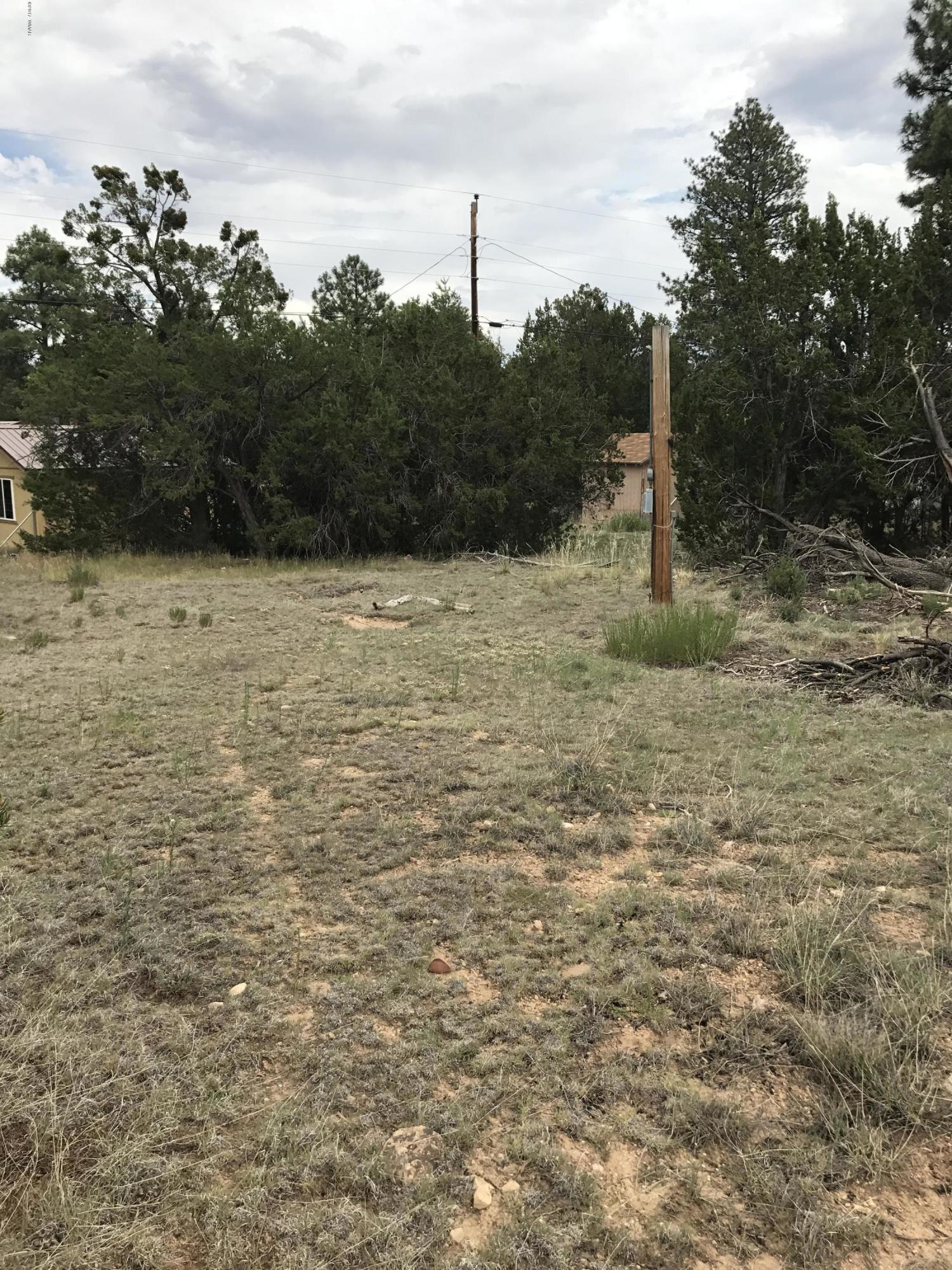 3551 Broken Arrow Road Overgaard, AZ 85933 - Photo 1 of 4