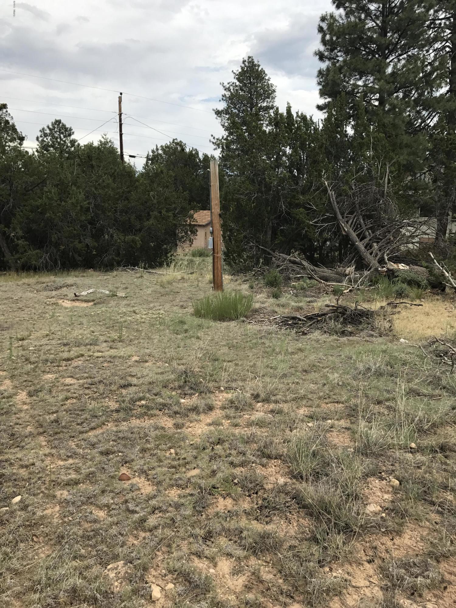 3551 Broken Arrow Road Overgaard, AZ 85933 - Photo 2 of 4
