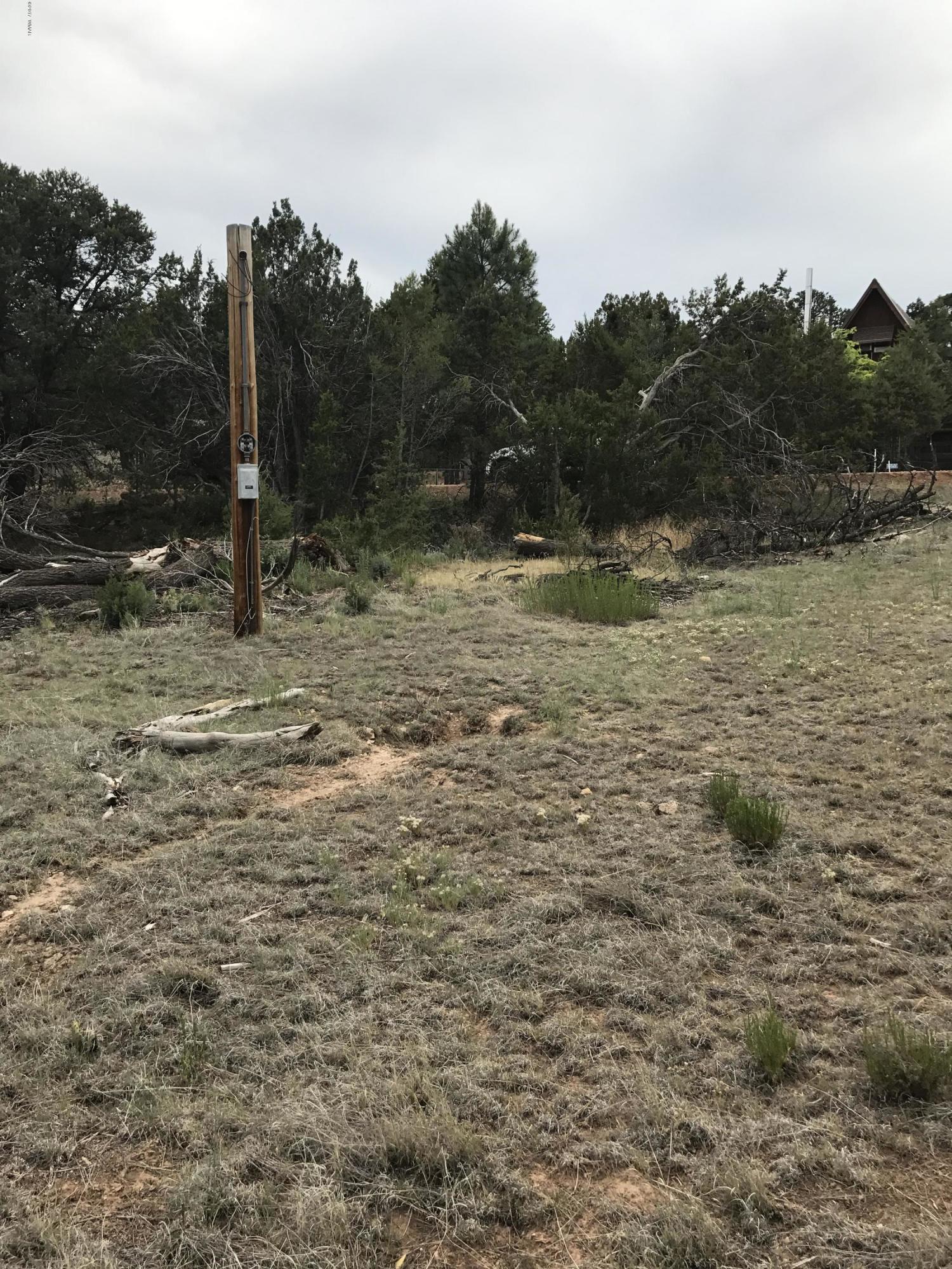 3551 Broken Arrow Road Overgaard, AZ 85933 - Photo 3 of 4