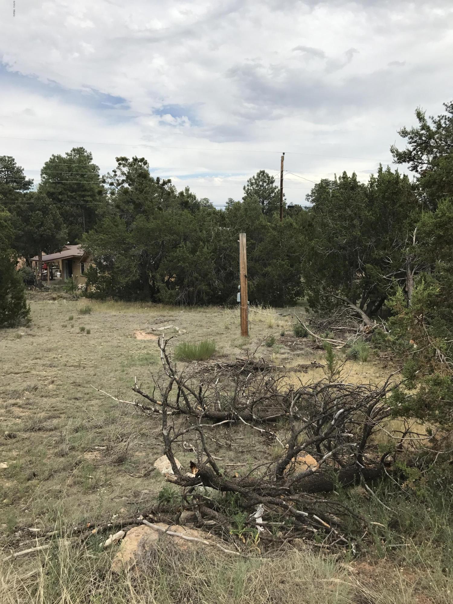 3551 Broken Arrow Road Overgaard, AZ 85933 - Photo 4 of 4