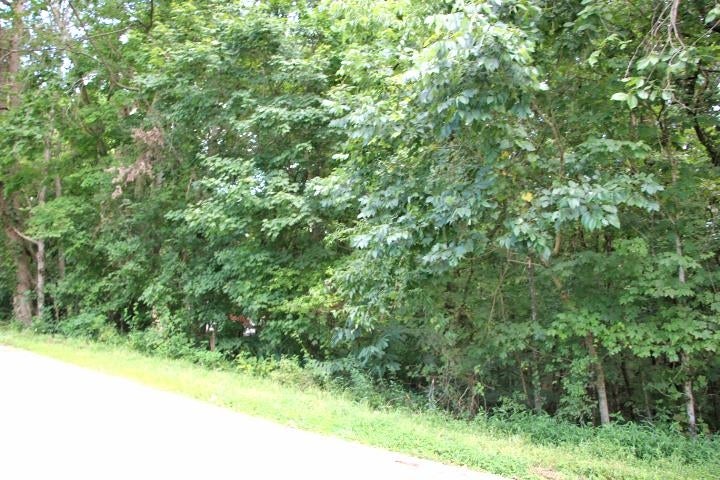 Lot 58 Cherokee Road Lucas, KY 42156 - Photo 1 of 1 Gallery Image 1