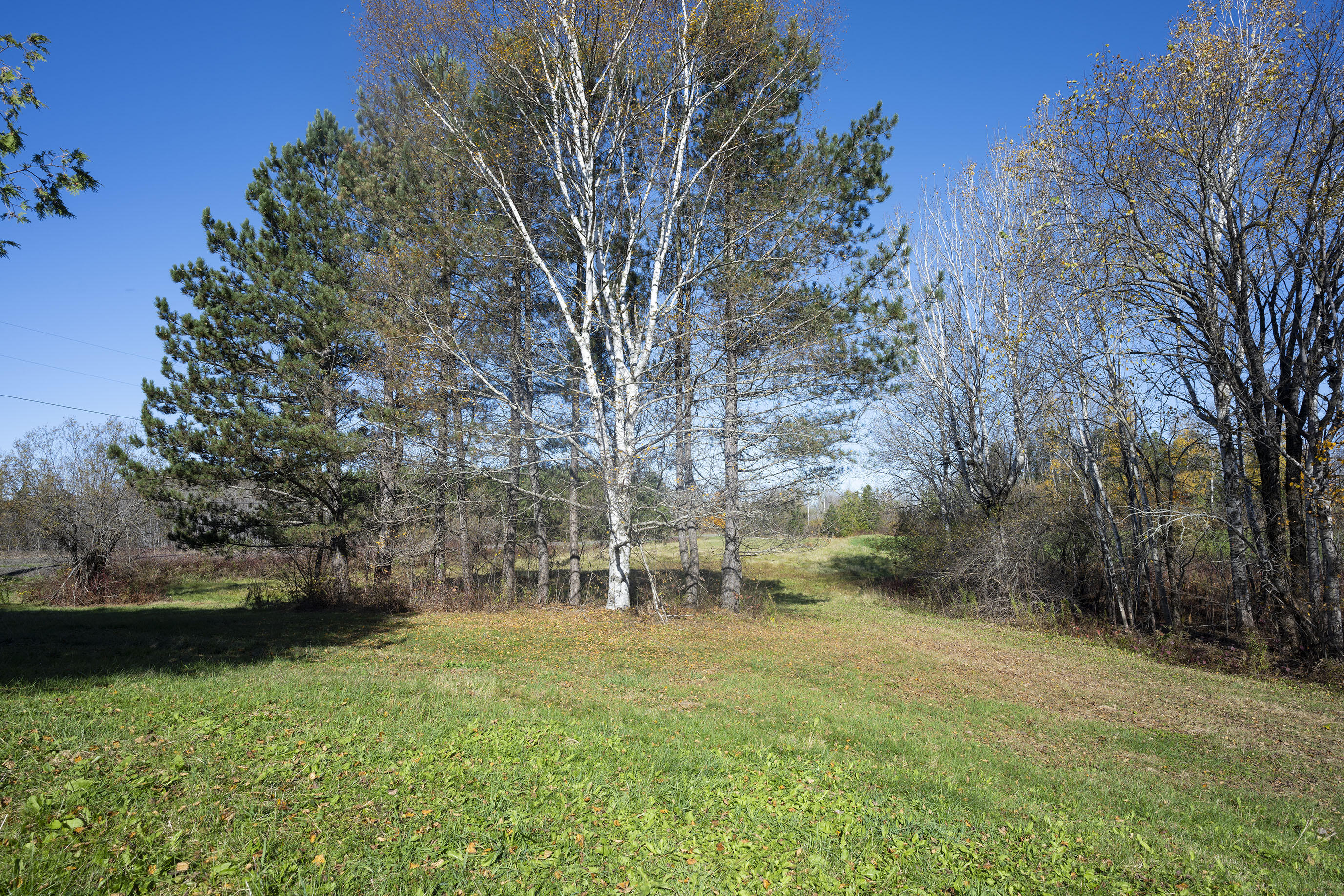 94 Town Line Road Houlton, ME 04730 - Photo 50 of 55 Birch Beauty