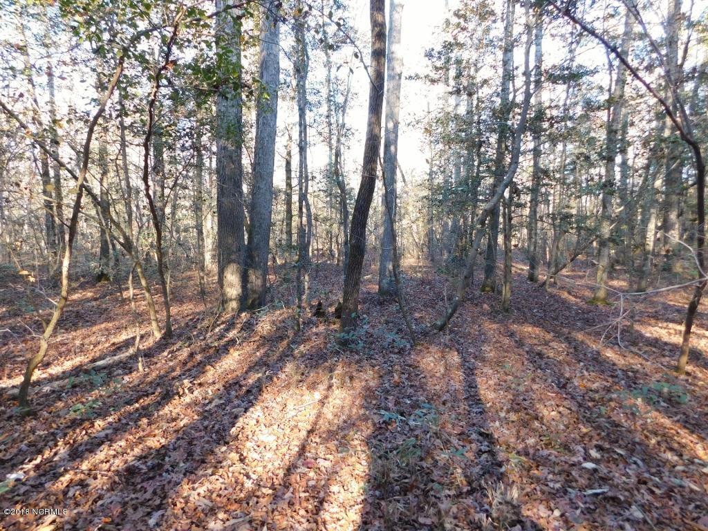 26.89 Bynum Farm Road Pinetops, NC 27864 - Photo 27 of 43 27 (1024x768)