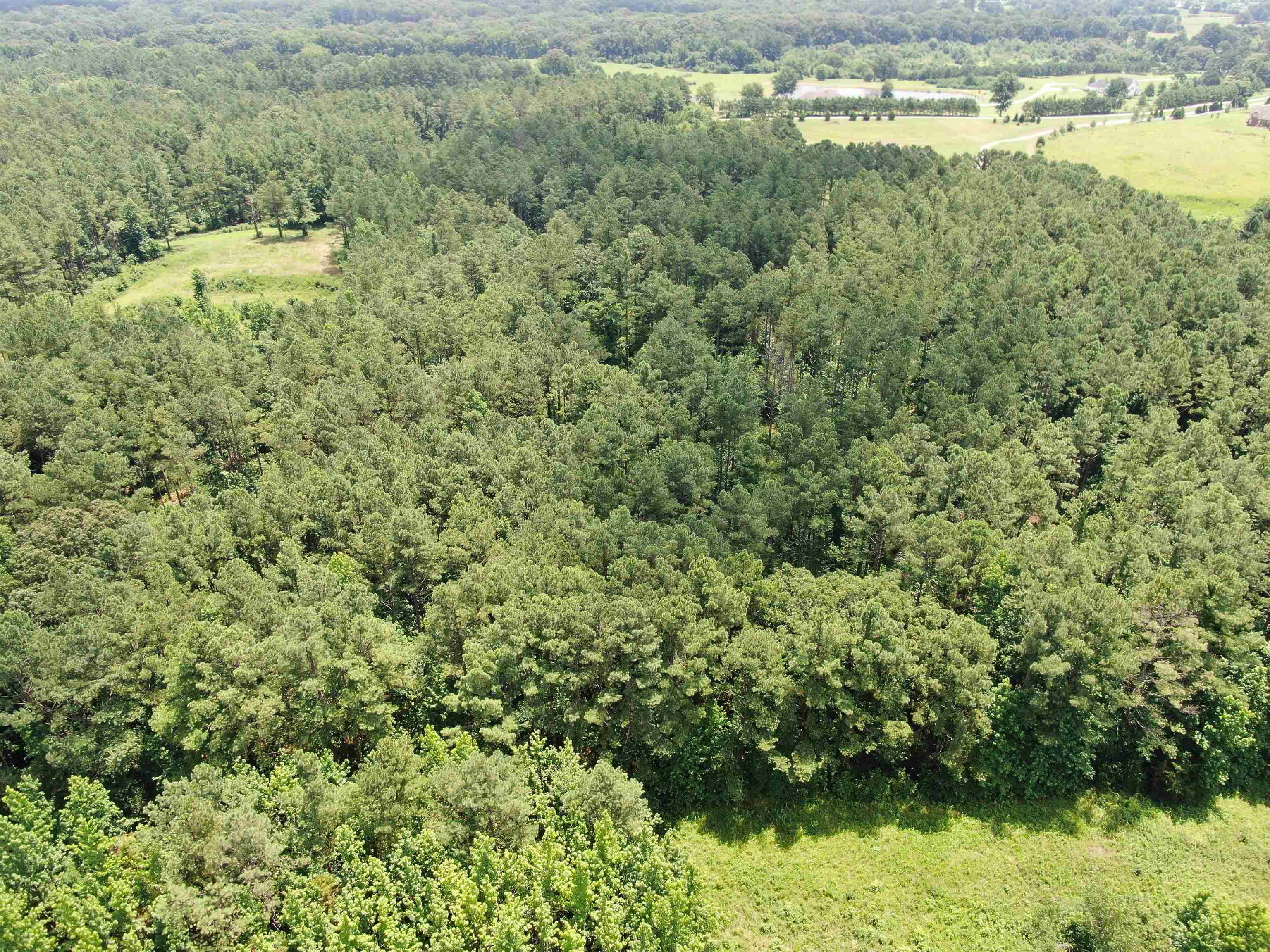 3645 Pleasant Grove Road Moscow, TN 38057 - Photo 8 of 39 View of aerial view