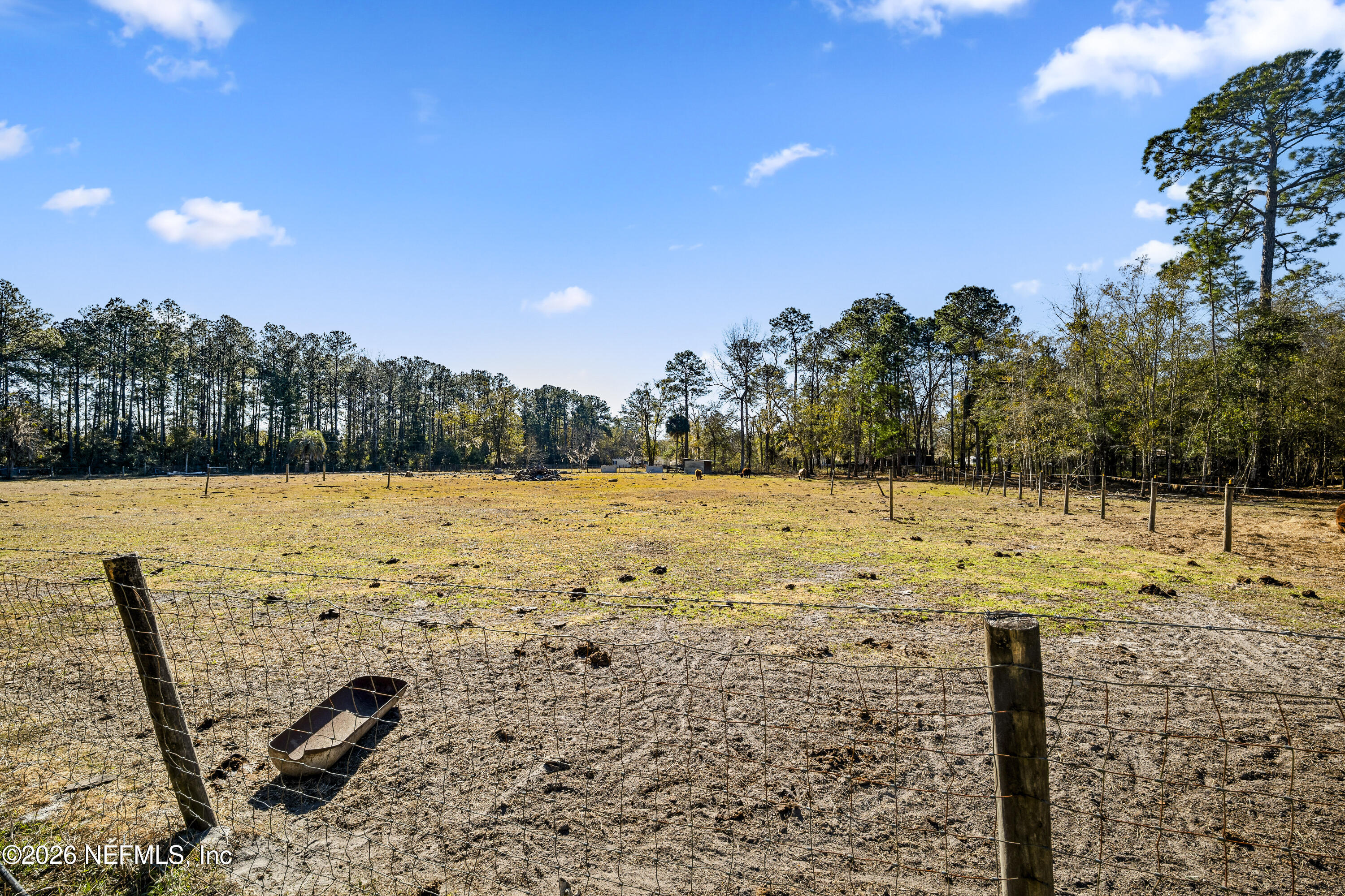 1725 Davidson Farm Road Jacksonville, FL 32218 - Photo 12 of 55 a view of yard with swimming pool and trees