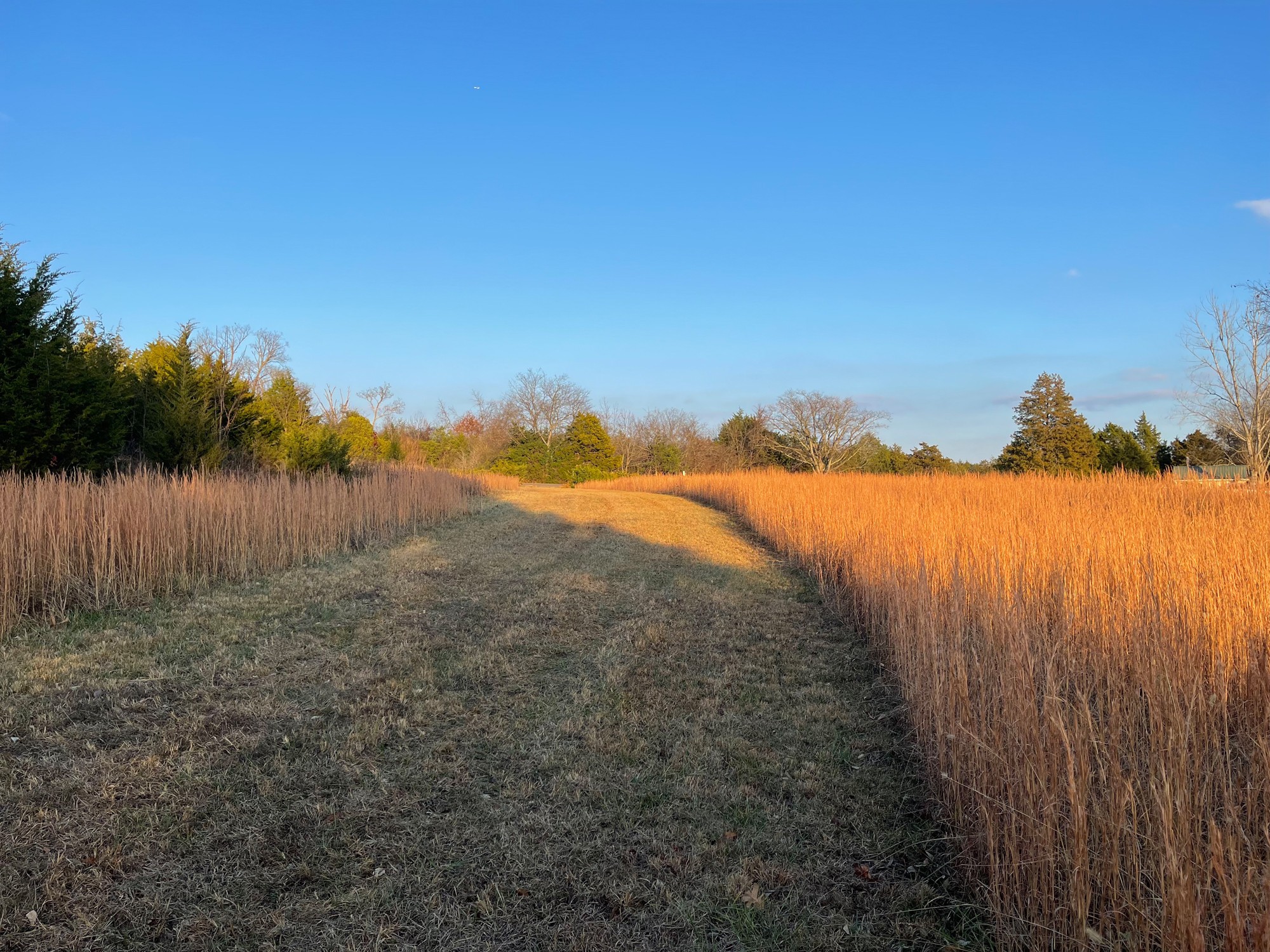 0 Lytle Creek Road Murfreesboro, TN 37127 - Photo 11 of 11 Gallery Image 11