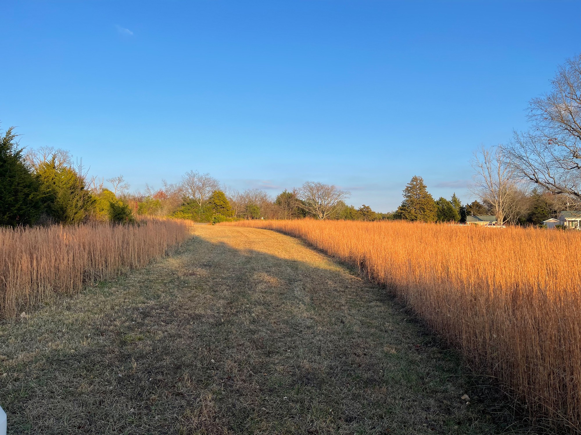 0 Lytle Creek Road Murfreesboro, TN 37127 - Photo 3 of 11 Gallery Image 3