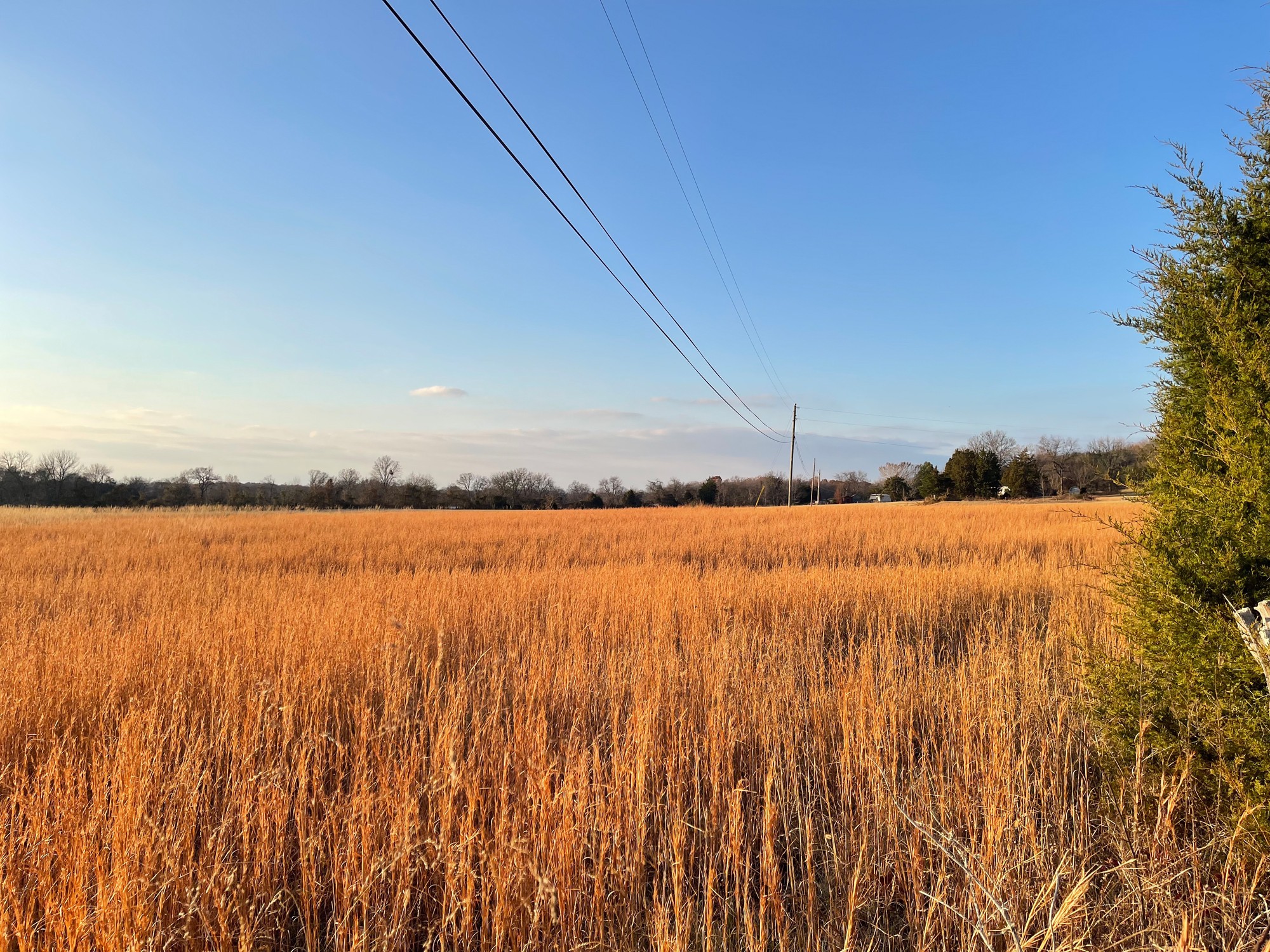 0 Lytle Creek Road Murfreesboro, TN 37127 - Photo 7 of 11 Gallery Image 7