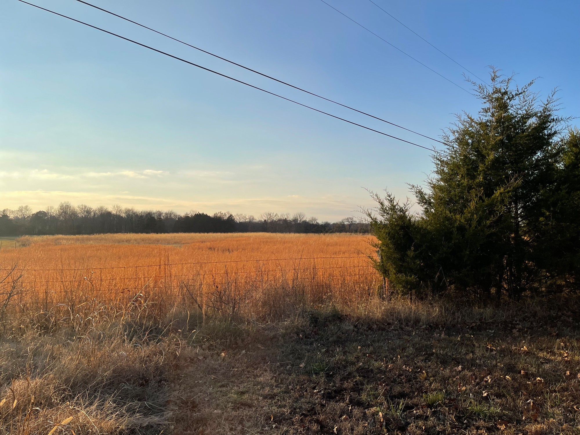 0 Lytle Creek Road Murfreesboro, TN 37127 - Photo 8 of 11 Gallery Image 8