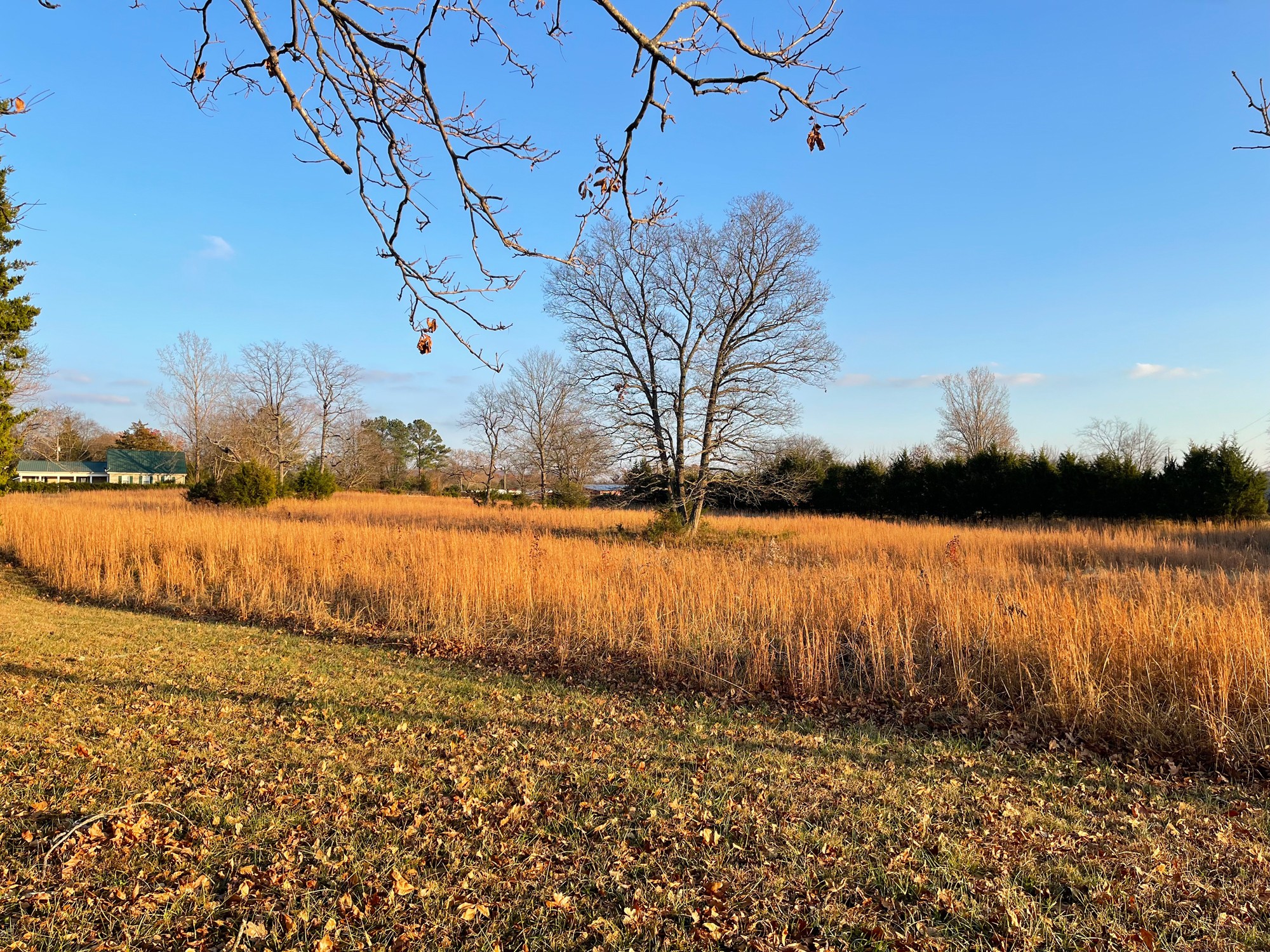 0 Lytle Creek Road Murfreesboro, TN 37127 - Photo 9 of 11 Gallery Image 9