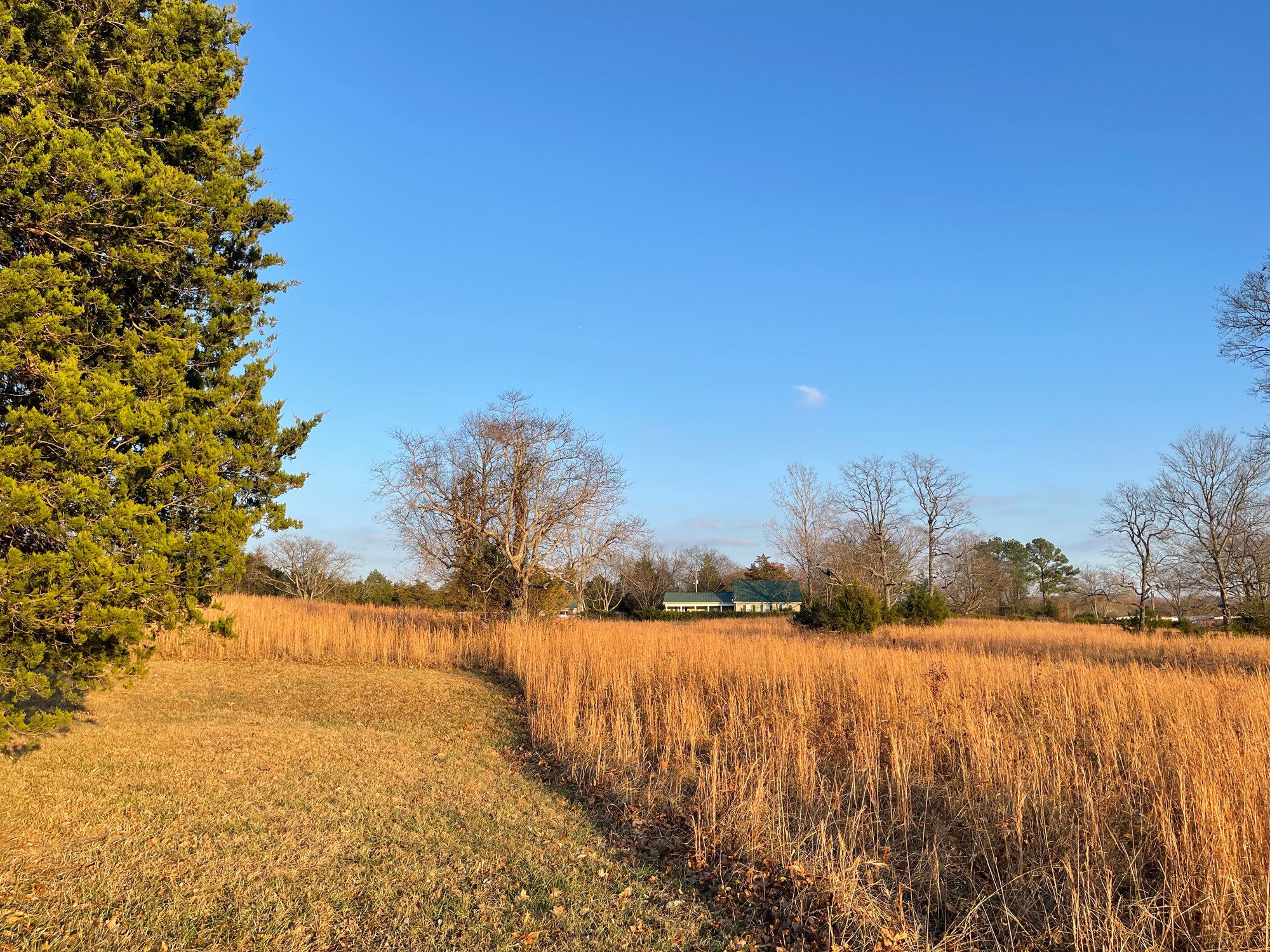 0 Lytle Creek Road Murfreesboro, TN 37127 - Photo 10 of 11 Gallery Image 10