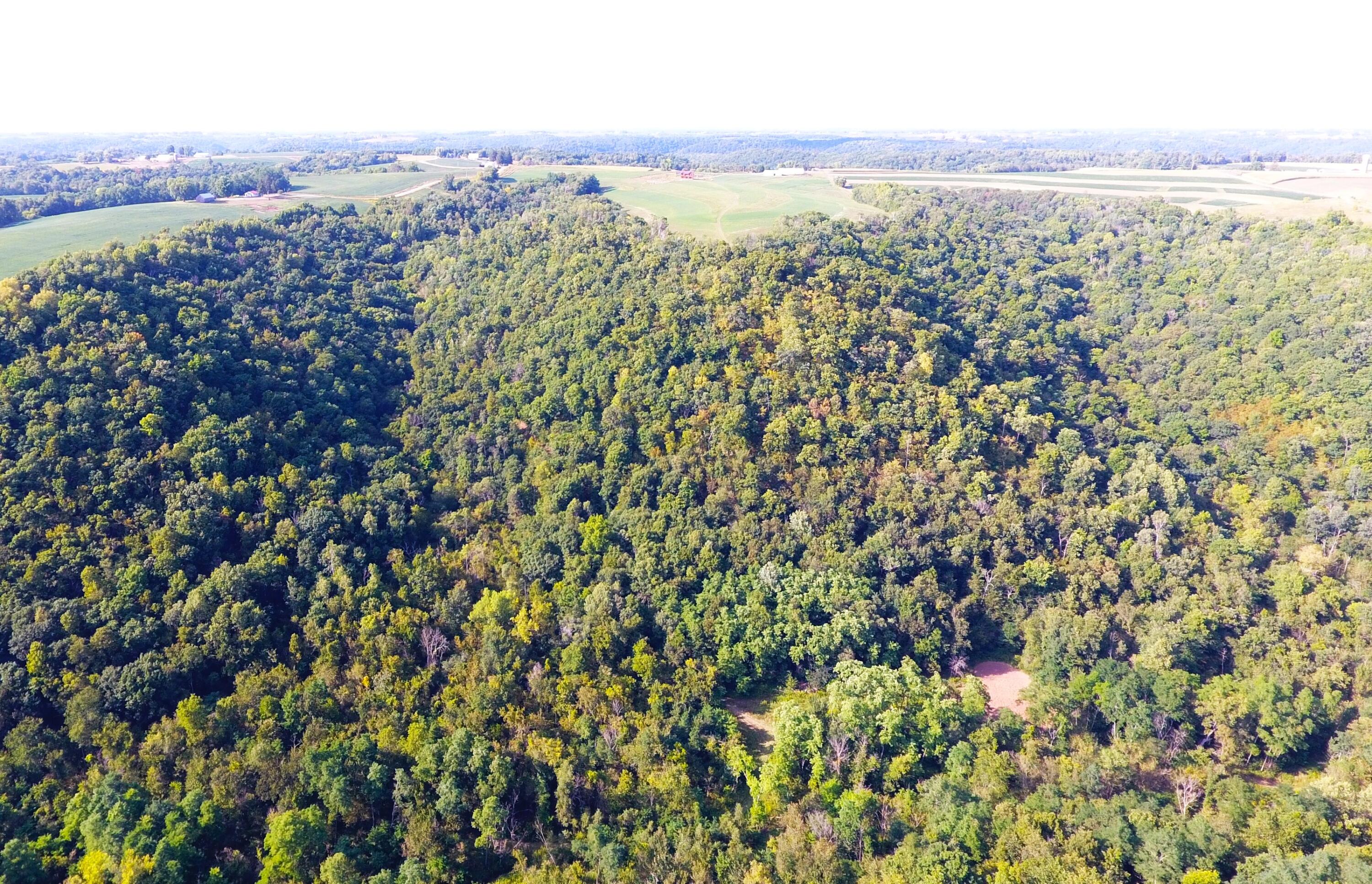DJI_0230 (2)