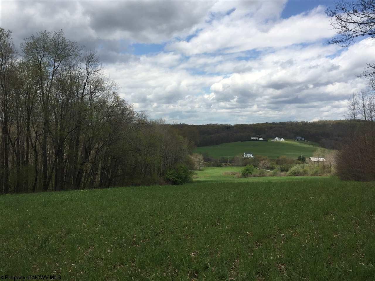 Tbd Shady Grove Road Mount Nebo, WV 26679 - Photo 1 of 5 Gallery Image 1