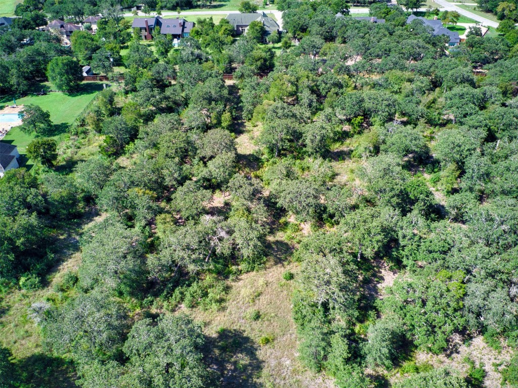 14901 Hog Eye Road Manor, TX 78653 - Photo 11 of 22 an aerial view of residential house with outdoor space and trees all around