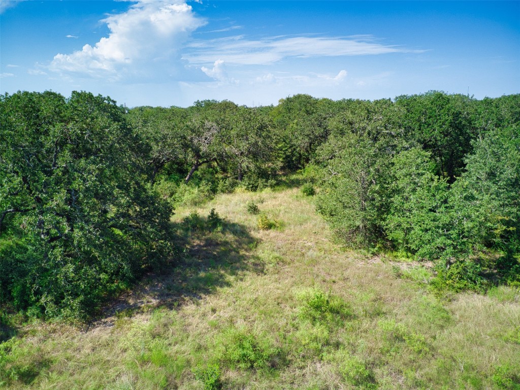 14901 Hog Eye Road Manor, TX 78653 - Photo 13 of 22 a view of a yard with a tree