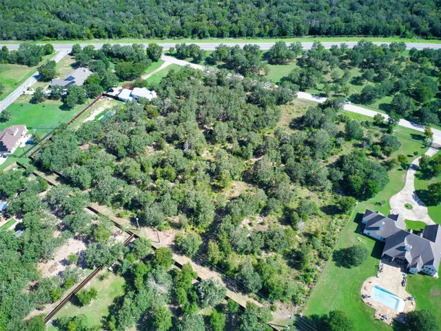 a view of a garden with a tree