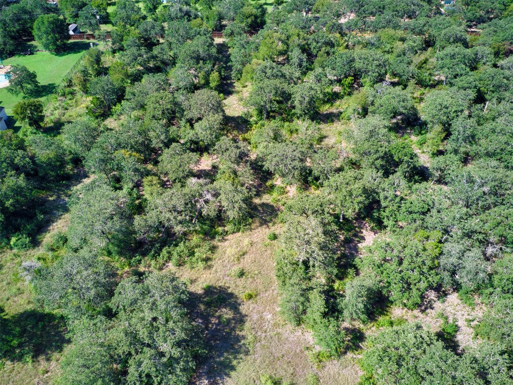 14901 Hog Eye Road Manor, TX 78653 - Photo 10 of 22 an aerial view of a house with a yard