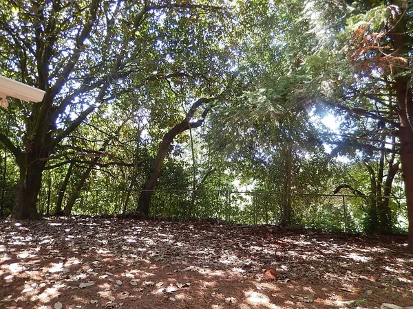$1,650 | 1529 Elberta Drive, Tallahassee, FL 32304