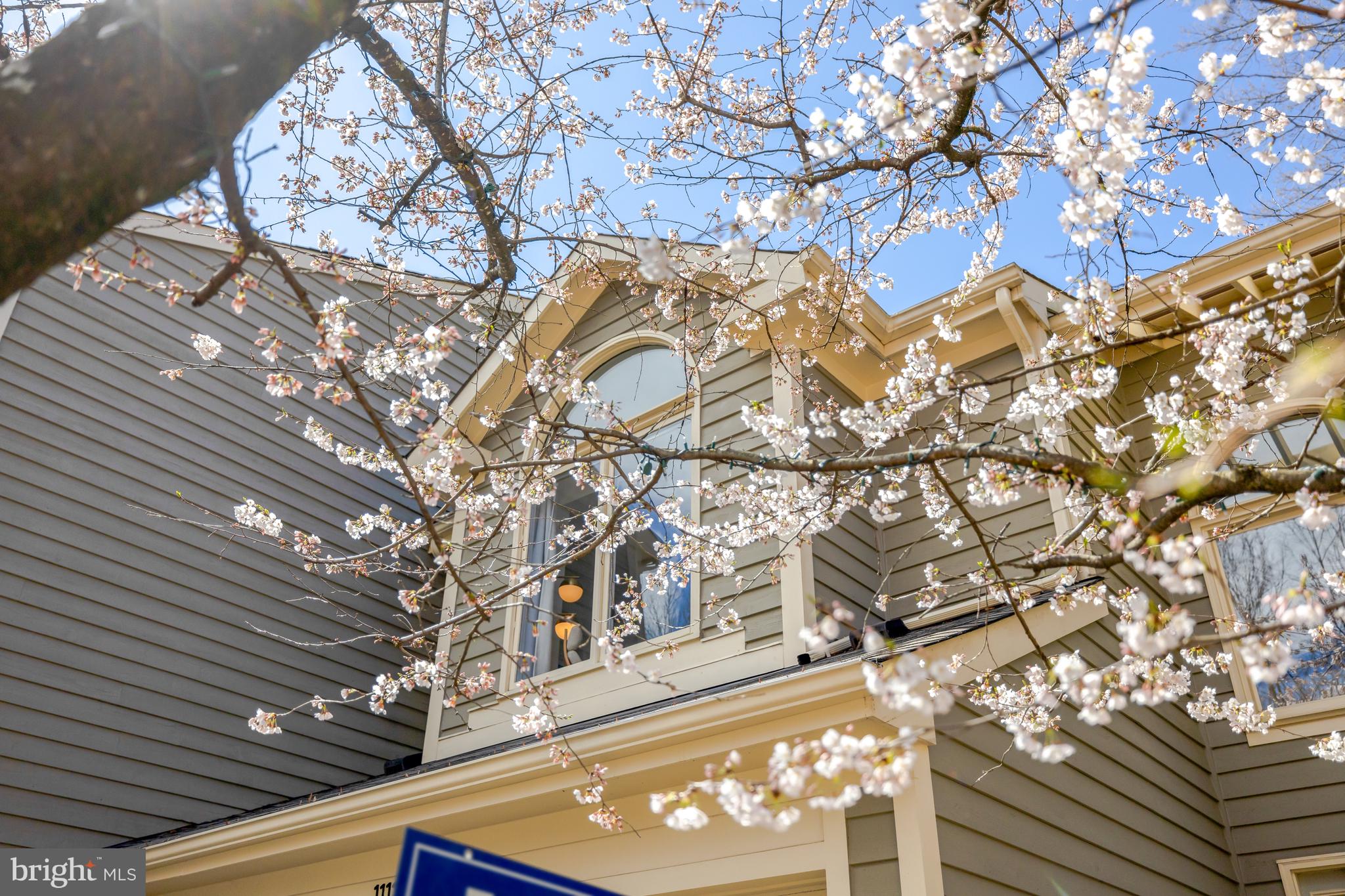 11122 Lakespray Way Reston, VA 20191 - Photo 64 of 77 11122 Lakespray Way in the Springtime!