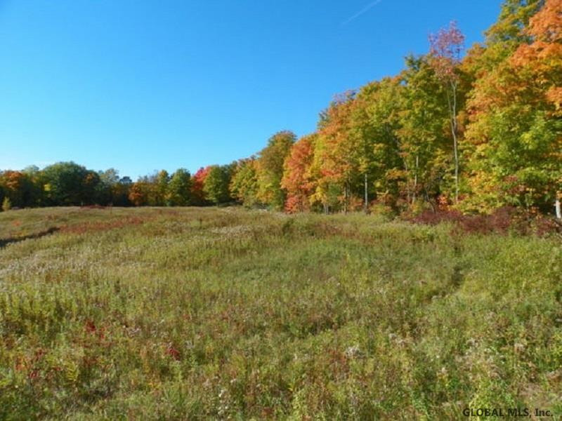 122 Goewey Road Charleston, NY 12072 - Photo 2 of 6 Photo 2