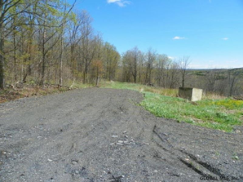122 Goewey Road Charleston, NY 12072 - Photo 3 of 6 Photo 4