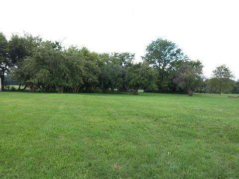 854 East Bennington Road Owosso, MI 48867 - Photo 20 of 22 20424910-19.JPG