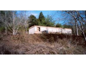 348 Ruritan Run Road Gate City, VA 24251 - Photo 4 of 5 Photo 4