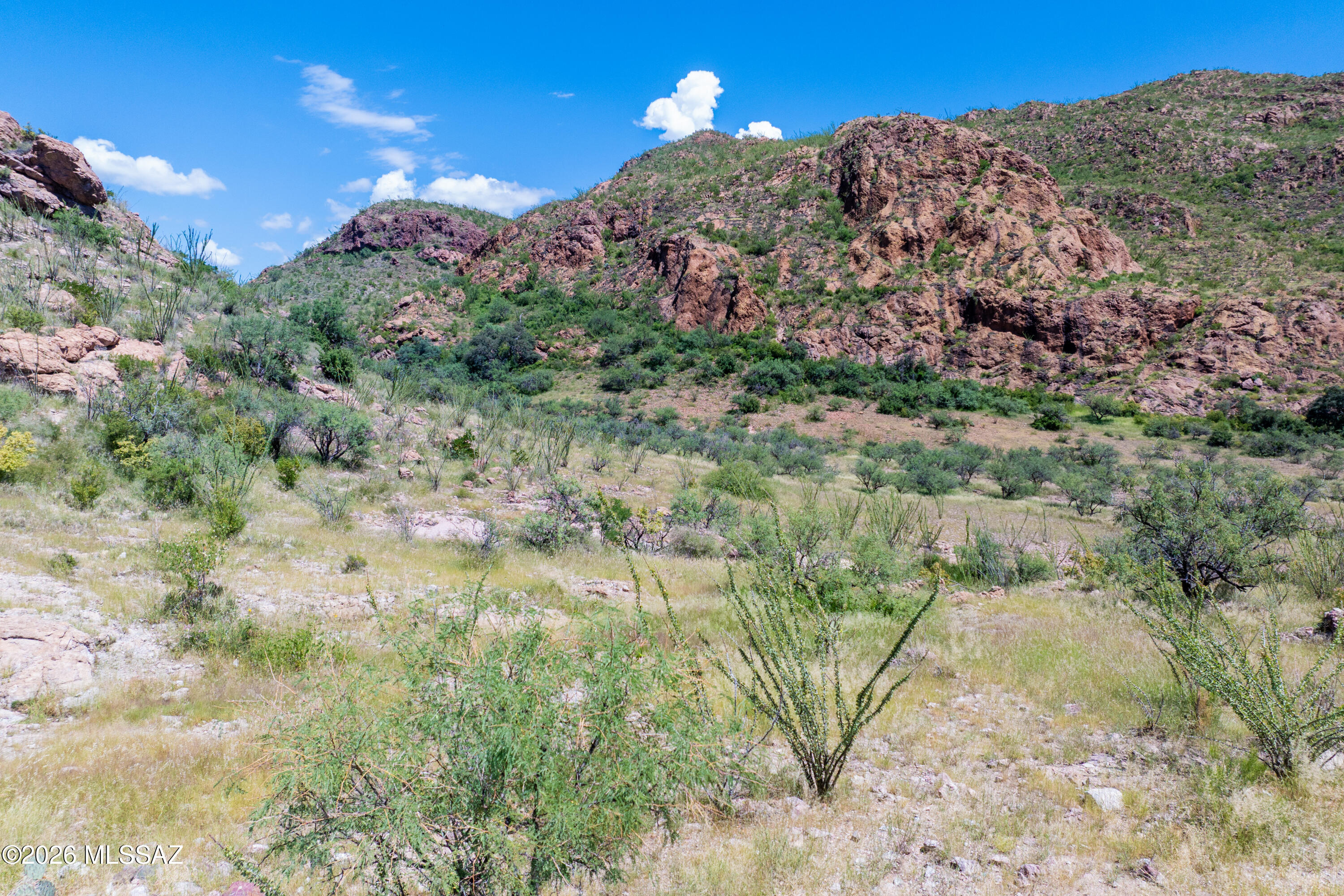 Tbd Tbd Castano Court, Unit 86 Rio Rico, AZ 85648 - Photo 20 of 32 6-print-castano-court