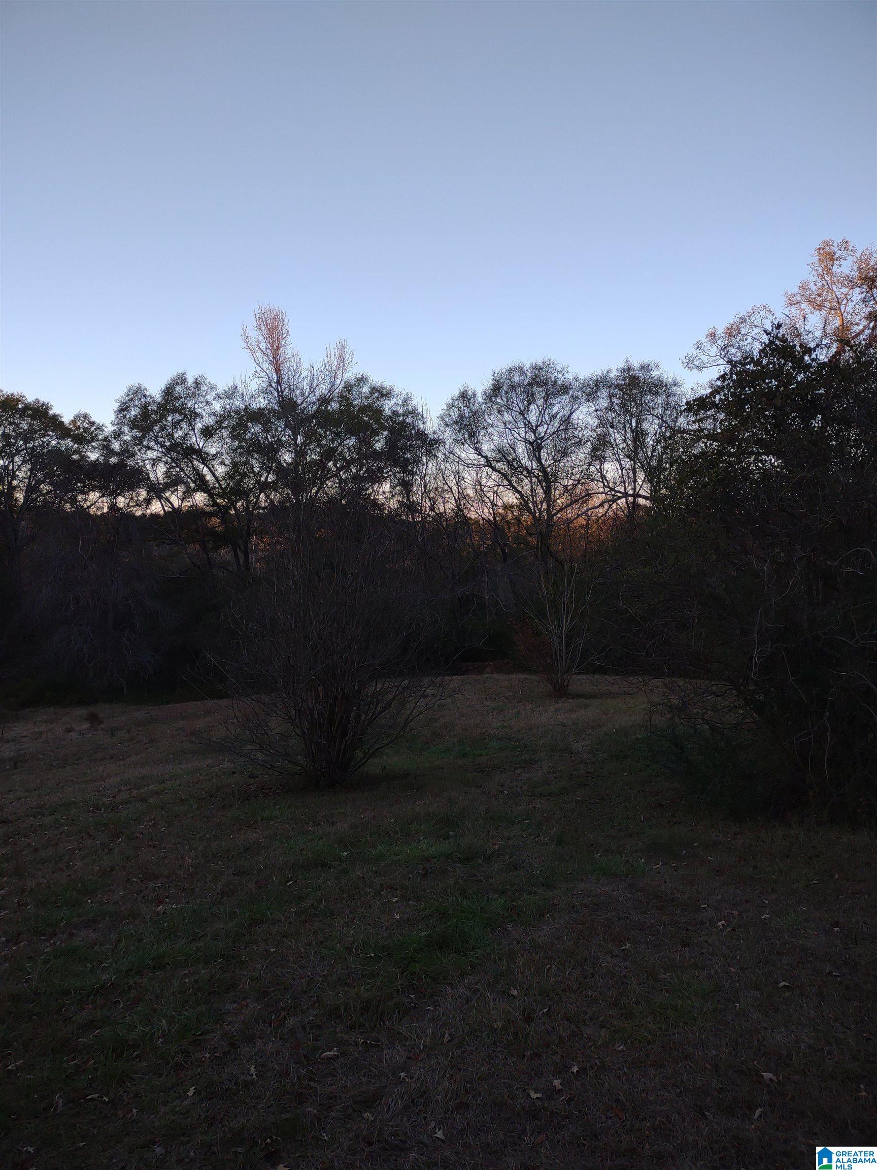 1419 Pelham Street Anniston, AL 36201 - Photo 63 of 67