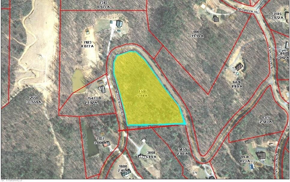 0 Tony Holder Road Lowgap, NC 27024 - Photo 1 of 2 Gallery Image 1