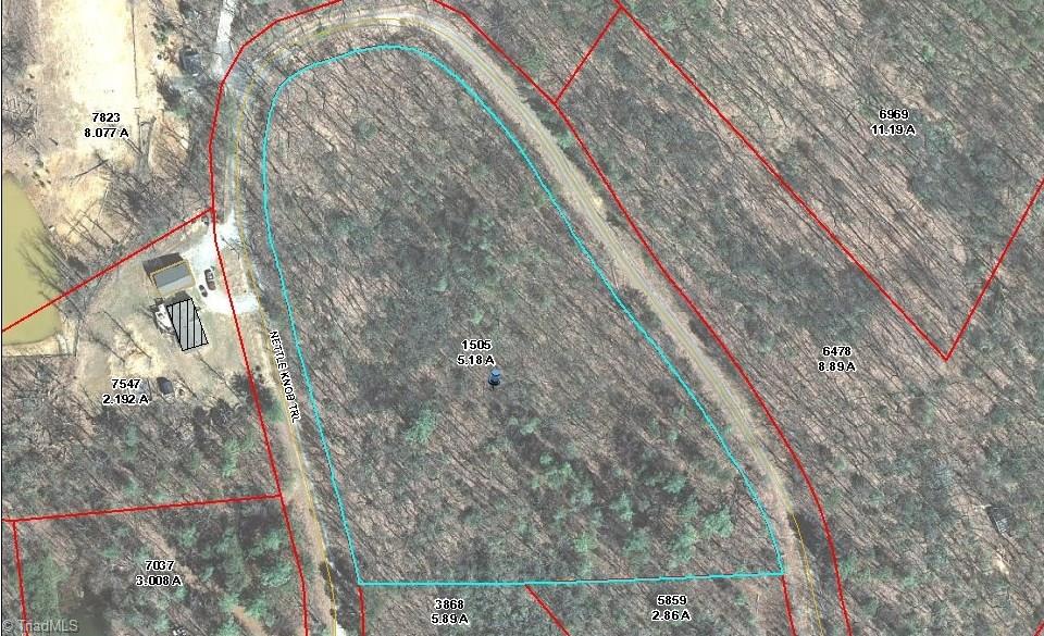 0 Tony Holder Road Lowgap, NC 27024 - Photo 2 of 2 Gallery Image 2
