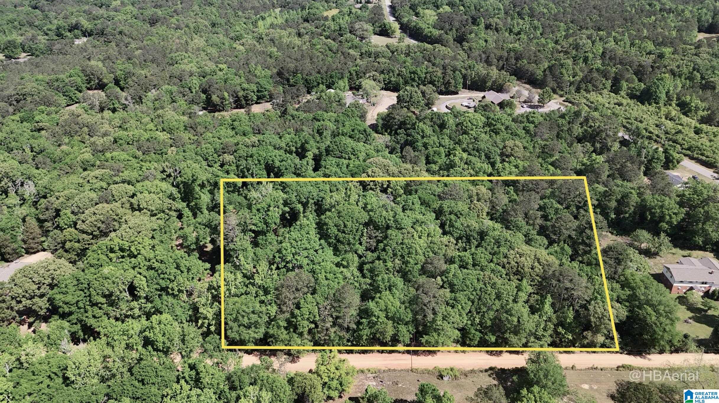 Blueberry Road, Unit X Seale, AL 36875 - Photo 1 of 5