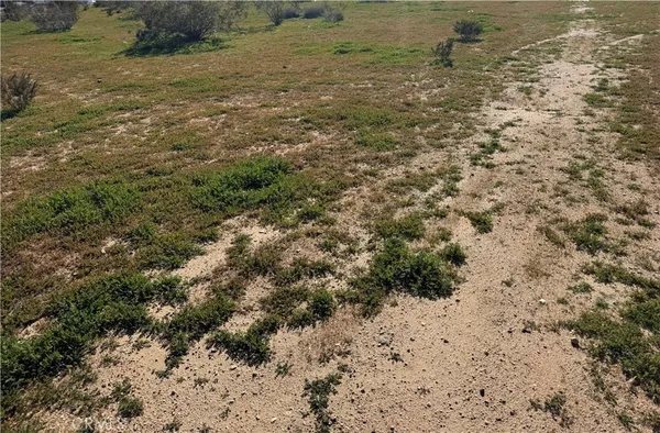 a view of a dry yard with wooden floor