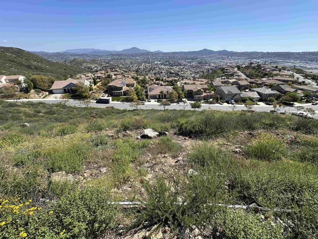 a view of a city with mountains in the background