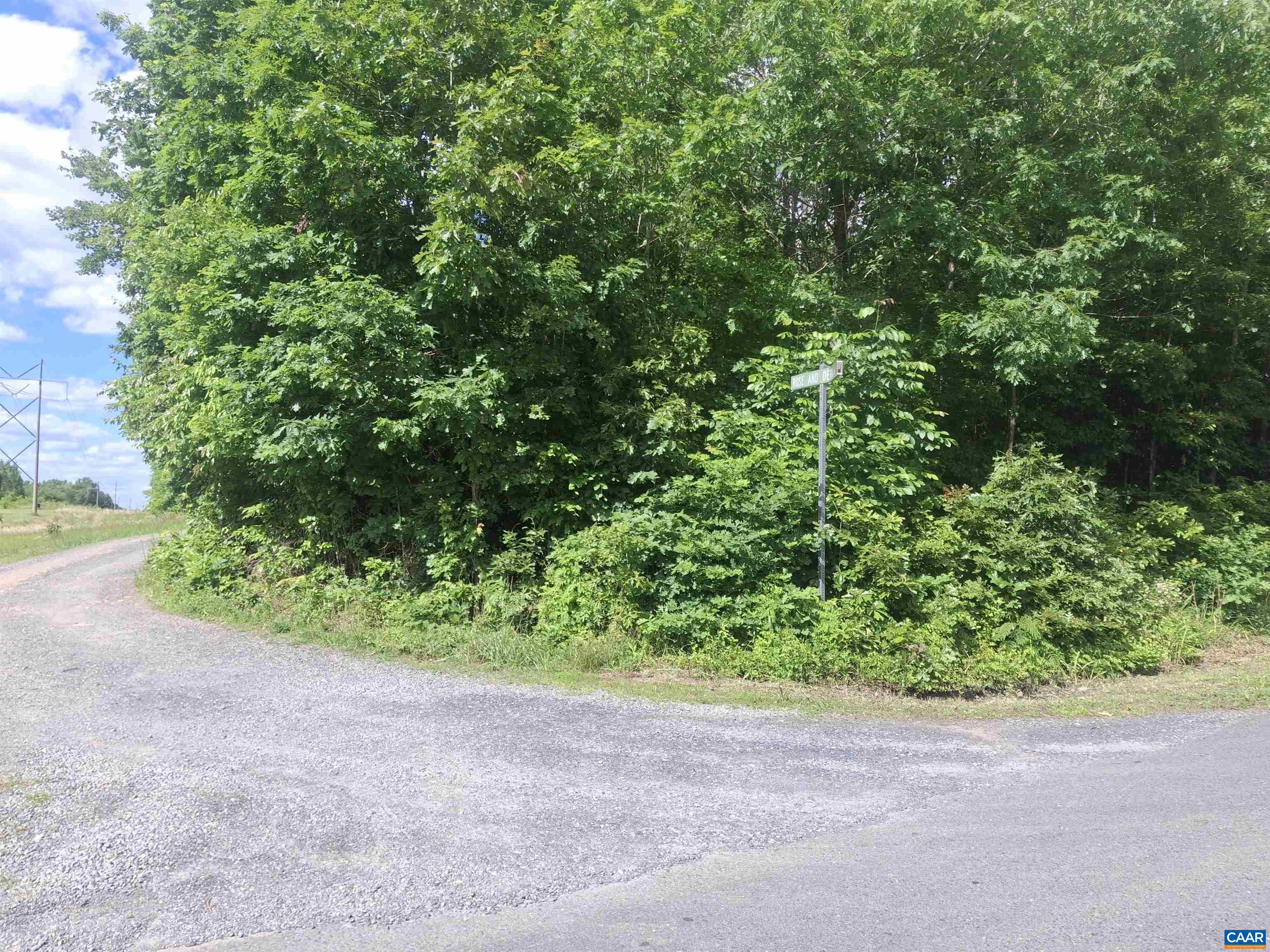 Tbd Liberty Road New Canton, VA 23123 - Photo 2 of 5 a view of a garden with plants