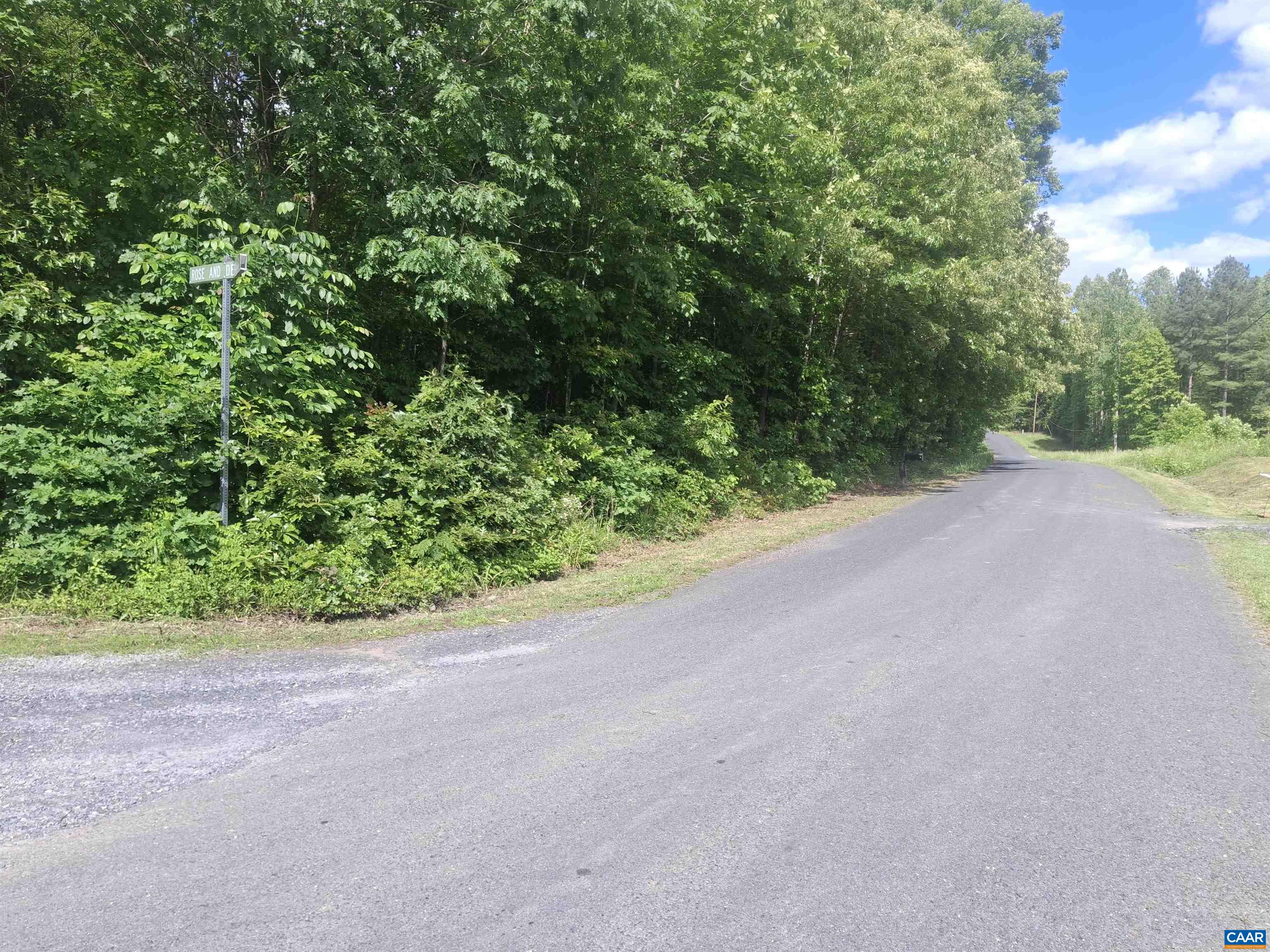 Tbd Liberty Road New Canton, VA 23123 - Photo 3 of 5 a view of a road with plants and large trees