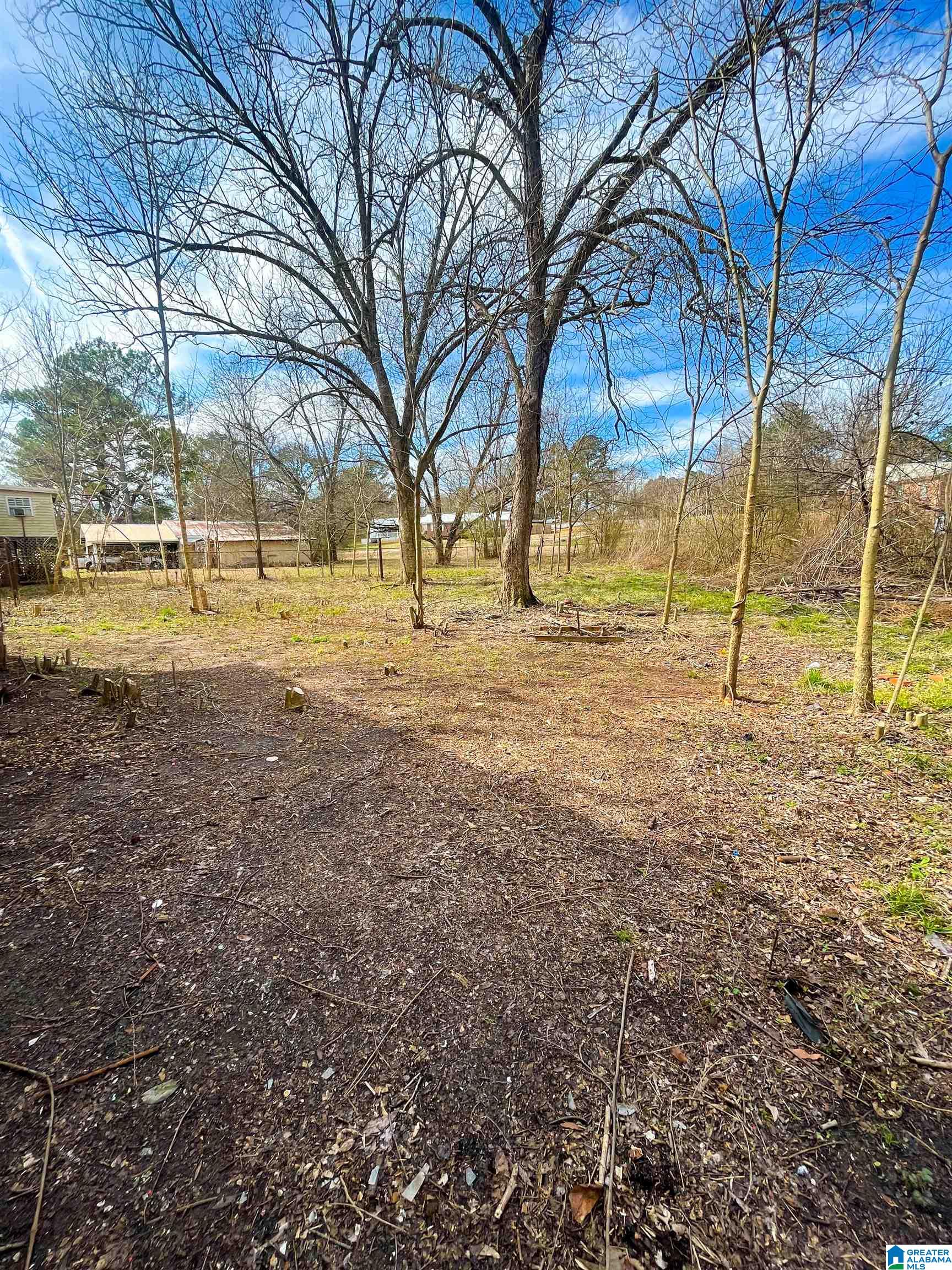 800 Potter Avenue Bessemer, AL 35020 - Photo 9 of 9