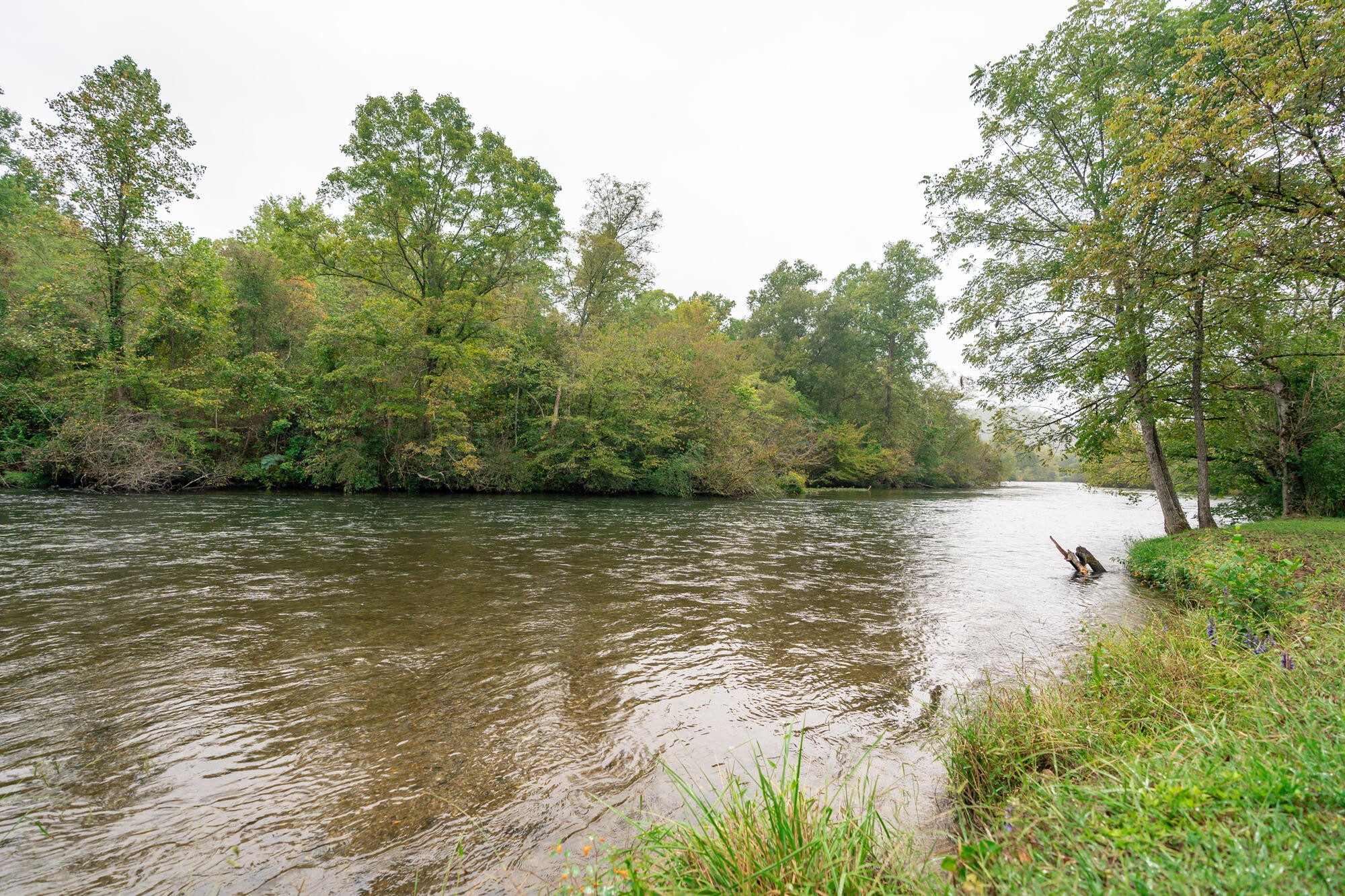 0 Ellis Creek Road Reliance, TN 37369 - Photo 16 of 52 Gallery Image 16